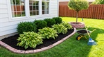 Why a Spring Clean-Up Shapes Your Landscape for the Entire Summer