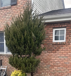 Glen Cove, NY